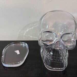 NEW POTTERY BARN SKULL CLEAR GLASS CLOCHE clioche w/ Base HALLOWEEN decor